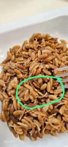 aydin-adu-hastanesinde-yemek-krizi-buyuyor-1