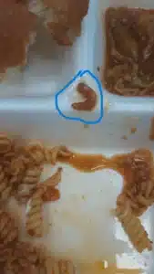 aydin-adu-hastanesinde-yemek-krizi-buyuyor-2