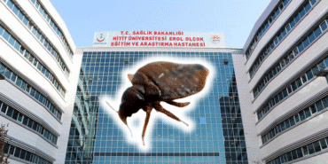 Çorum Erol Olçok Eğitim ve Araştırma Hastanesi Tahtakurusu