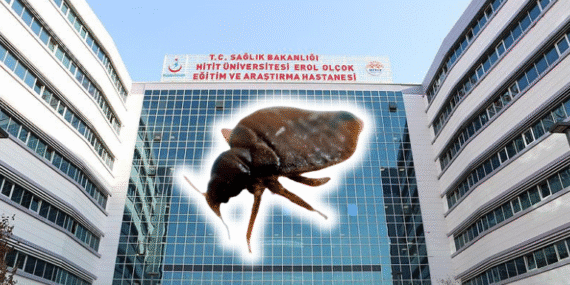 Çorum’da Hastanede Tahtakurusu Sorunu Yeniden Baş Gösterdi