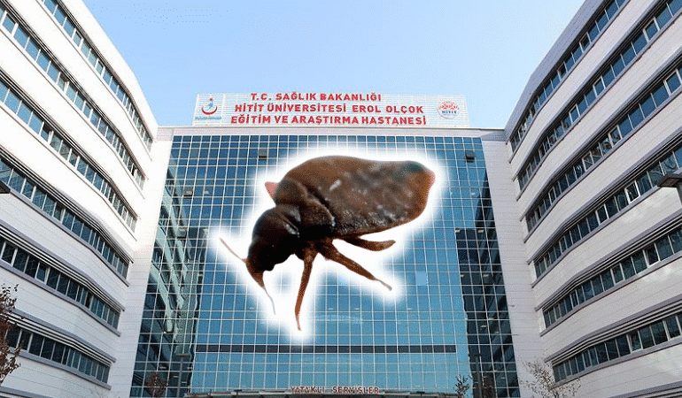 Çorum Erol Olçok Eğitim ve Araştırma Hastanesi Tahtakurusu