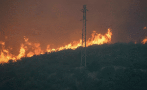 Eskişehir'de Orman Yangını Felaketi