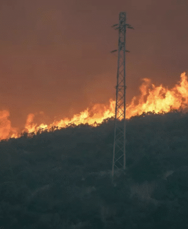 Eskişehir'de Orman Yangını Felaketi