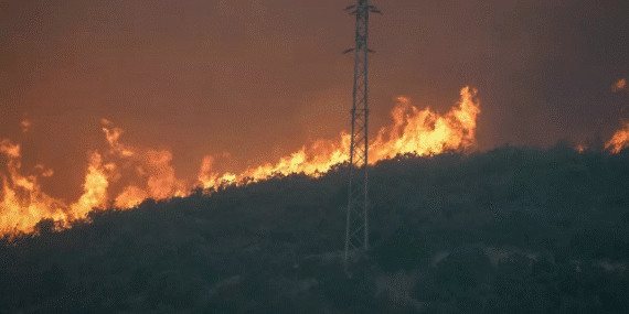 Eskişehir’de Orman Yangını Felaketi: 10 Şehit