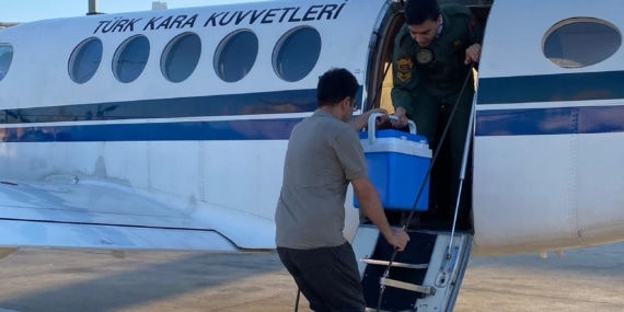 Kalp grefti, Kara Kuvvetleri’ne ait uçakla İstanbul’a ulaştırıldı