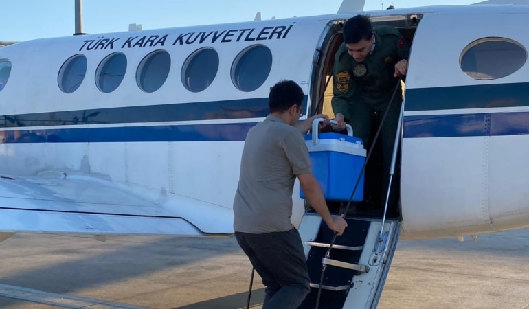 Kalp grefti, Kara Kuvvetleri'ne ait uçakla İstanbul'a ulaştırıldı
