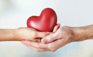 Organ Bağışına Yeni Dönem Bağışçıların Yakınlarına Öncelik Hakkı