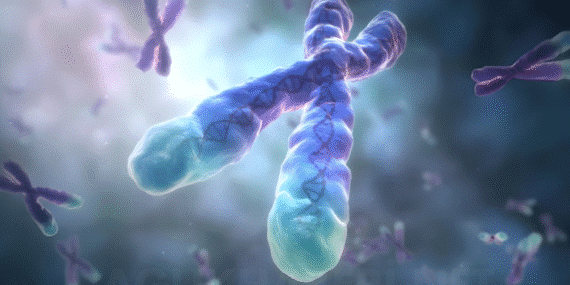 Bilim Dünyasından Büyük Keşif: Ölümcül Hastalıkların Anahtarı RPA Proteini