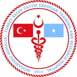 Sağlık Bakanlığı Yurtdışı Görevlendirme Rehberi (2026) (resim 14) – saglikhaberi.net