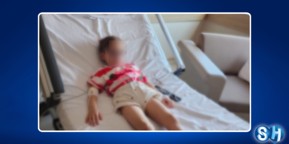 Kocaeli’de Kreşte Fare Zehiriyle Oynayan Küçük Çocuk Hastanelik Oldu