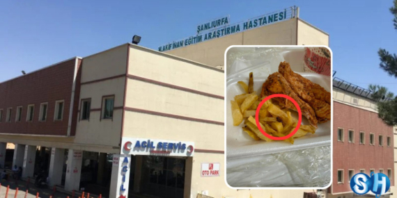Şanlıurfa Mehmet Akif İnan EAH’de Yemek Skandalı: Nöbetçi Personele Kızarmış Böcek Çıktı!