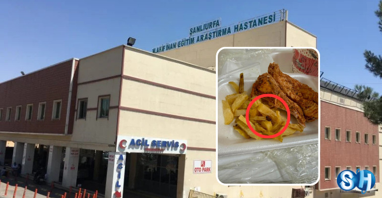Şanlıurfa Mehmet Akif İnan EAH’de Yemek Skandalı: Nöbetçi Personele Kızarmış Böcek Çıktı!